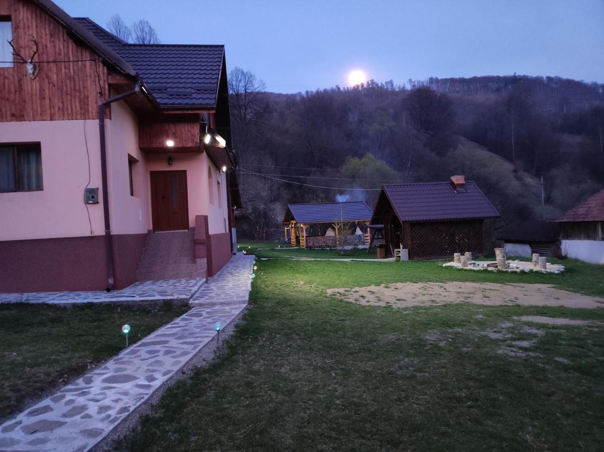 Villa Casa Alesi Dragoslavele Exterior foto