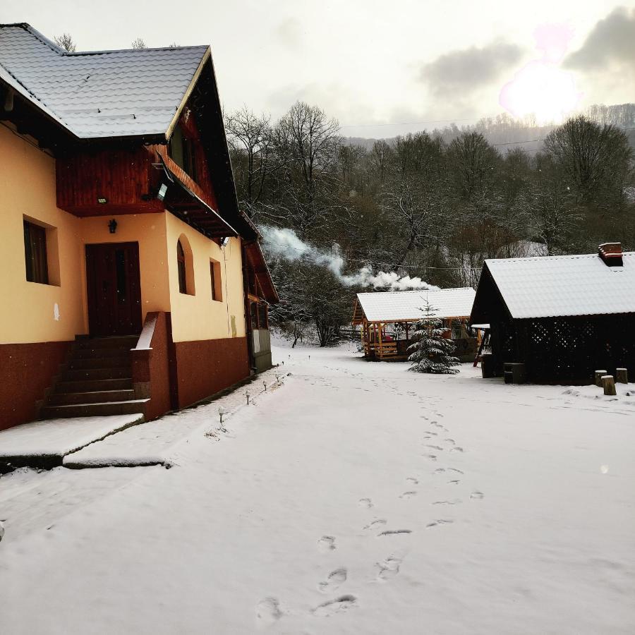 Villa Casa Alesi Dragoslavele Exterior foto